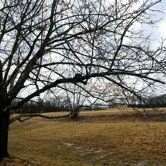 Meet your Posher, Jordan - Picture 1 of 1